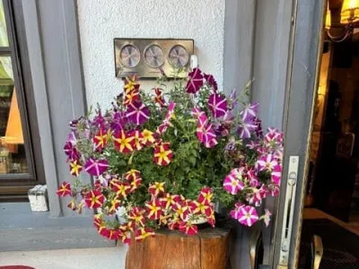 Gastgarten Bild 14