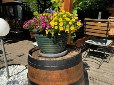 Gastgarten Bild 17